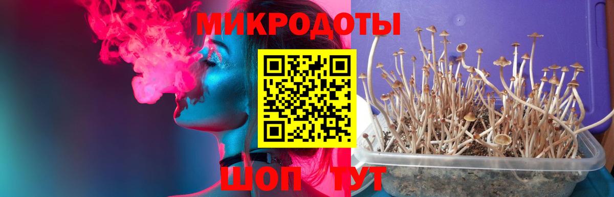 Галлюциногенные грибы Magic Shrooms  Вход с VPN  Строитель 